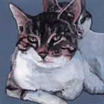 D494 katten D494 katten