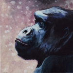 D396 gorilla D396 gorilla