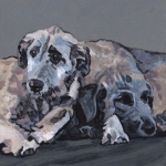 D503 honden D503 honden