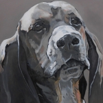 D511 Basset D511 Basset