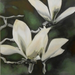 N246 magnolia N246 magnolia