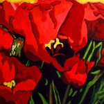 N163 tulpen 7 N163 tulpen 7