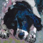 D524 spaniel D524 spaniel