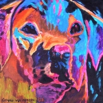 D170 hond D170 hond