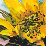 N304 zonnebloem N304 zonnebloem