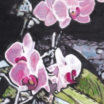 N305 orchidee N305 orchidee