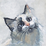 D526 kat D526 kat