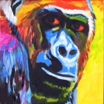 D198 gorilla D198 gorilla