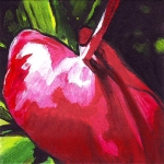 N184 Anthurium N184 Anthurium