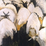D61 schapen D61 schapen
