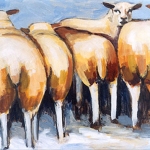 D96 schapen 4 D96 schapen 4