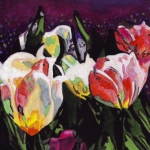 N264 tulpen N264 tulpen