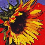 N263 zonnebloem N263 zonnebloem