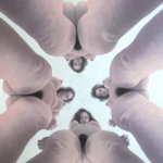 cirkel of bodies cirkel of bodies