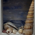 Assemblage: "Schelpenpad" Assemblage: "Schelpenpad"