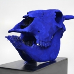 Blue Cow Blue Cow