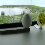 egg-scan egg-scan