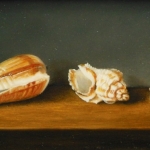Schelpjes Schelpjes