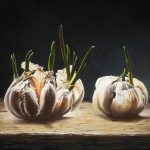 Knoflook op zijn mooist Knoflook op zijn mooist