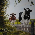 Wandelend rood-en zwartbont Wandelend rood-en zwartbont
