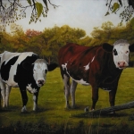 Wachtend rood-en zwartbont Wachtend rood-en zwartbont
