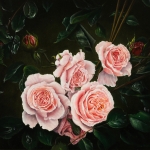 Engelse rozen Engelse rozen