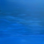 Regatta Regatta