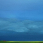 Polder in Zeeland 2016 Polder in Zeeland 2016