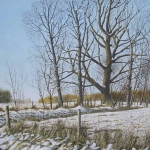 Winterlandschap
