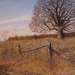 Overgrown field Overgrown field