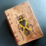 Book of Bugs Book of Bugs