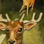 deer deer