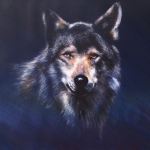 Sad Wolf Sad Wolf
