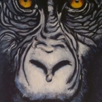 Gorilla Gorilla
