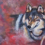 Kijkende wolf Kijkende wolf