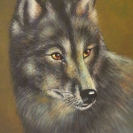 Black Wolf Black Wolf