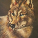 Grey Wolf Grey Wolf