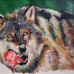 Etende wolf Etende wolf