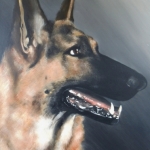 K9 K9