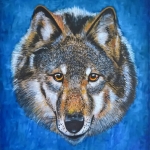 Great Wolf Great Wolf