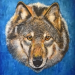 Grote Wolf Grote Wolf