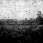 landscape No.6 landscape No.6