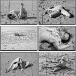 Sandman Sandman