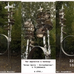 River bells - Rivierbellen. River bells - Rivierbellen.