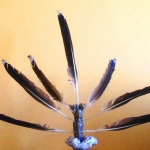 HUANCARUTE WASI (het huis van de Huancarute) HUANCARUTE WASI (het huis van de Huancarute)