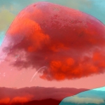 MET MIJN HOOFD IN DE WOLKEN MET MIJN HOOFD IN DE WOLKEN