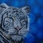 Witte Tiger Witte Tiger