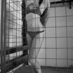 Wild Thing Wild Thing