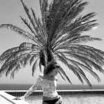 Palm Beach Palm Beach