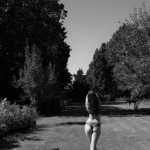 Freedom Freedom